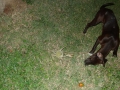 2013-10_CubaActive_A_ (345)
